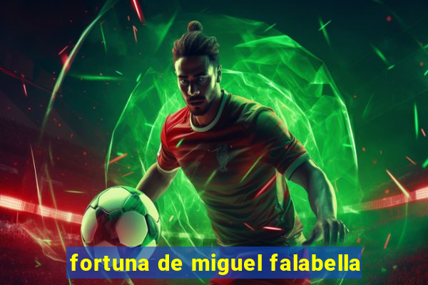 fortuna de miguel falabella